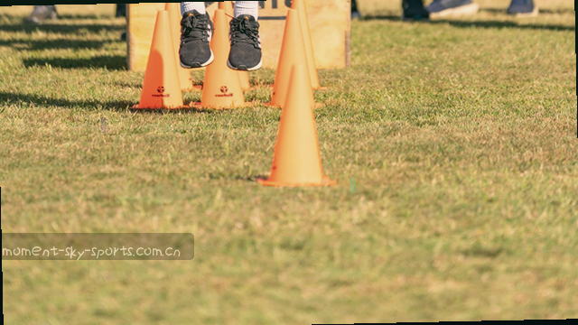 赛事数据实时同步引擎